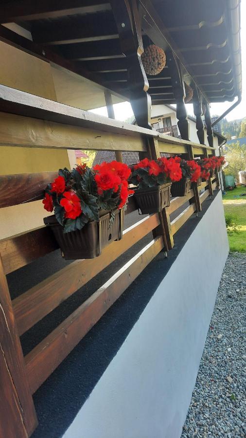 Hotel Cabana Cascada Cailor Borşa Exterior foto